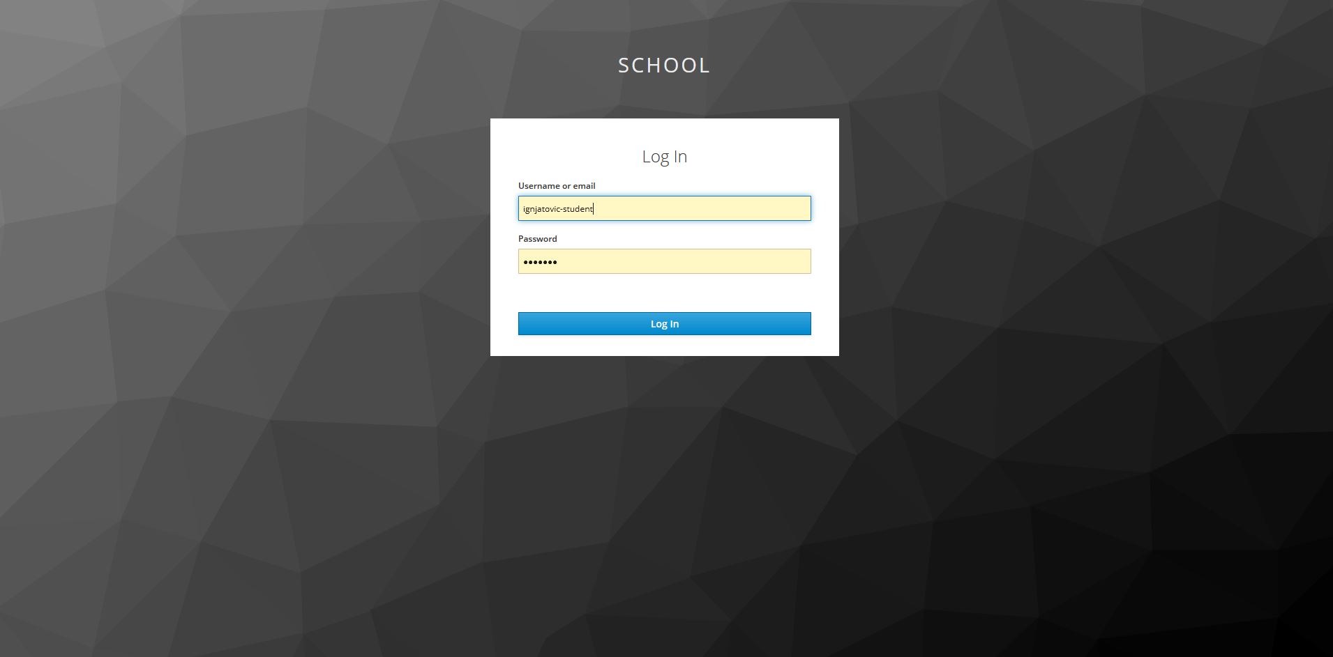 login view